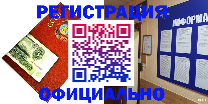 прописка 2025 в Камышине